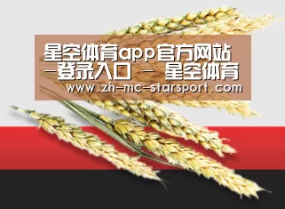 星空体育app官方网站-登录入口 - 星空体育官网