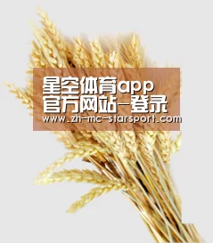 星空体育app官方网站-登录入口 - 星空体育官网