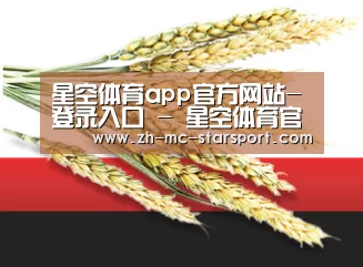 星空体育app官方网站-登录入口 - 星空体育官网