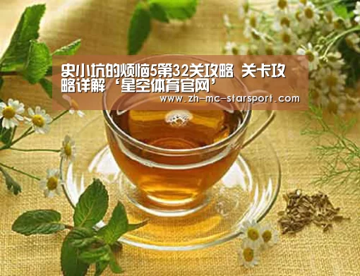 史小坑的烦恼5第32关攻略 关卡攻略详解‘星空体育官网’(图2) 星空体育官网